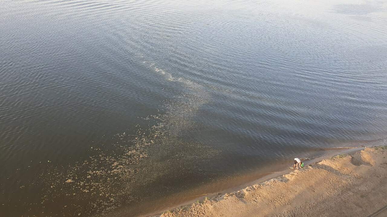 Региональный Гидрометцентр зафиксировал продолж...