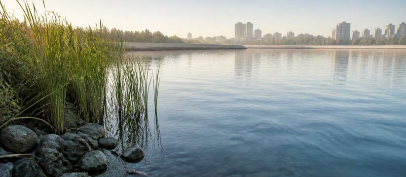 В Кургане объявлен тендер на расчистку водохран...