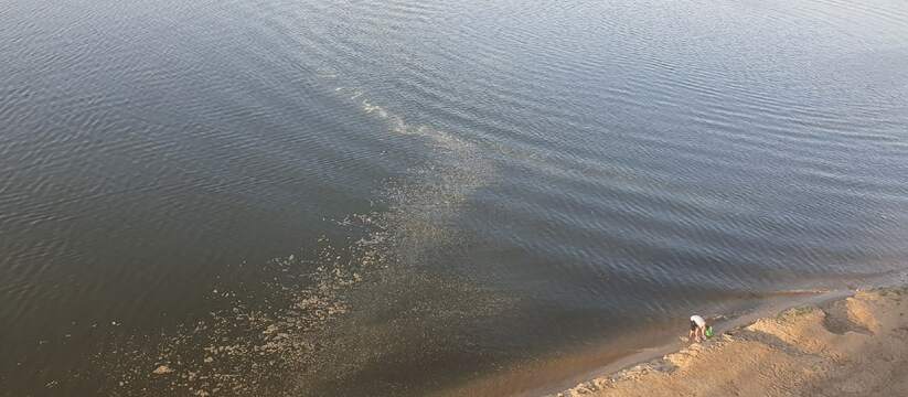 Региональный Гидрометцентр зафиксировал продолж...