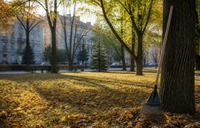 Курганцы выйдут на осеннюю уборку города